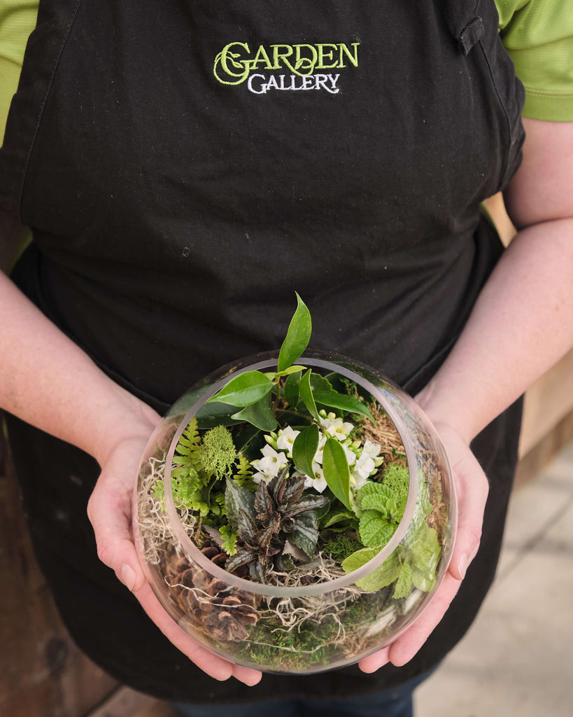 Make Your Own Terrarium