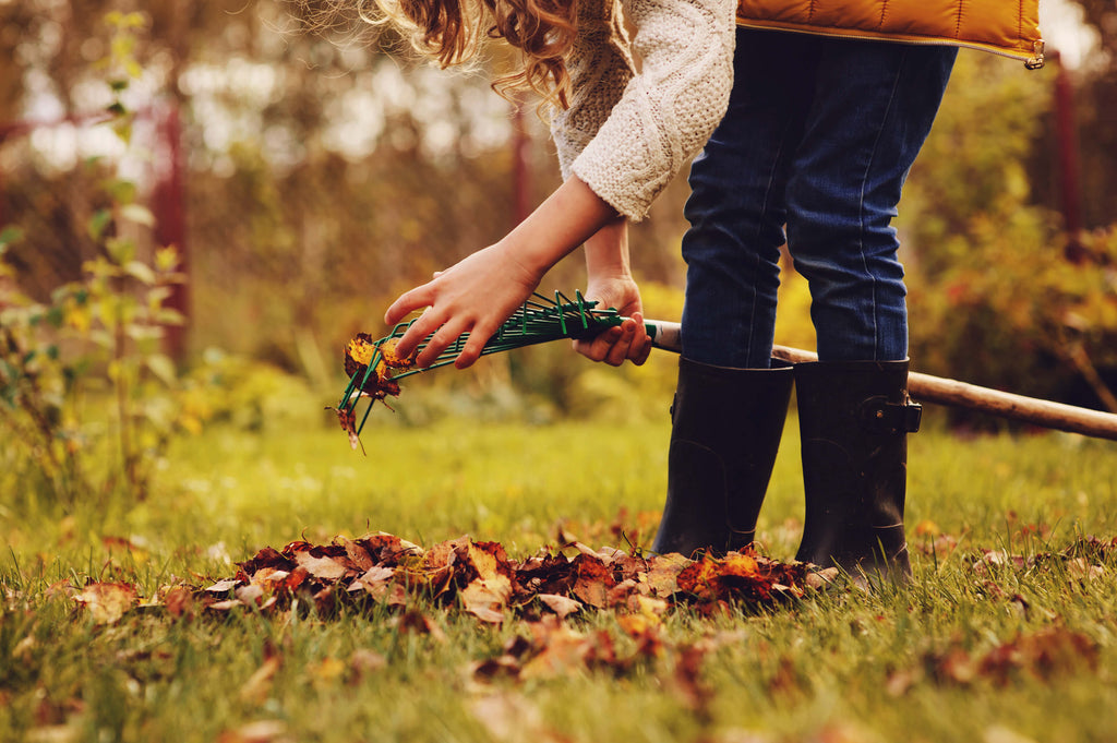 Is Your Garden Fall Ready?